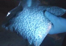 Наркополицейские Татарстана и Москвы изъяли рекордную партию наркотиков